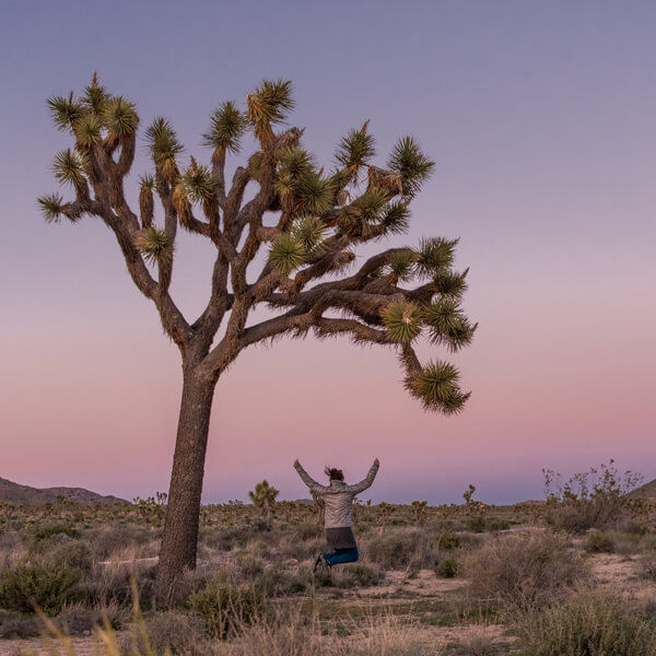 Joshua Tree National Park
