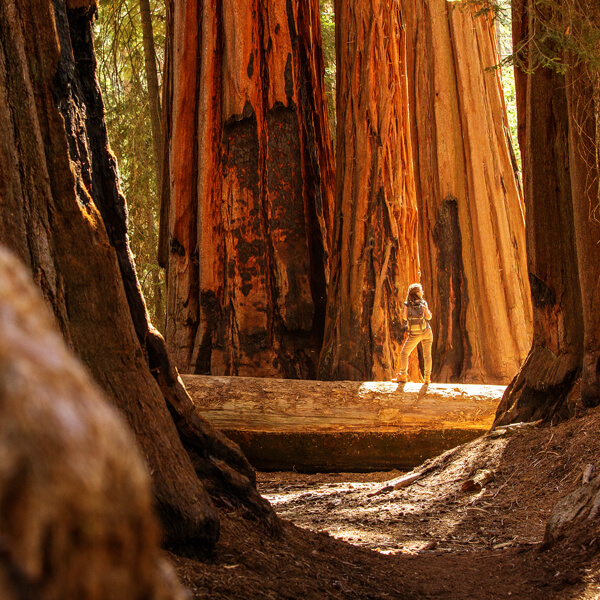 Yosemite National Park